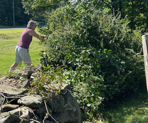 Harwinton Historical Society ~ South Cemetery Cleaning Project
