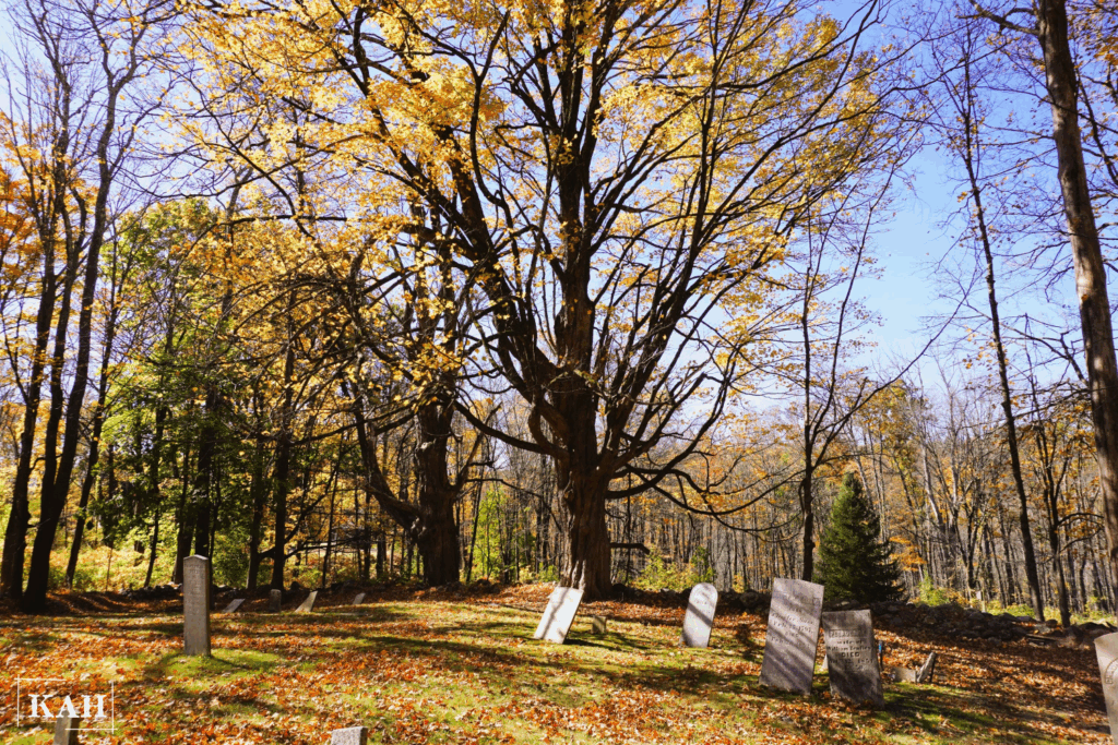 South Cemetery in Harwinton, CT